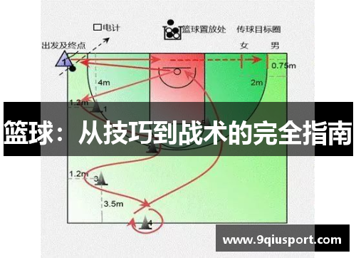 篮球：从技巧到战术的完全指南